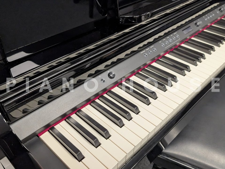 ROLAND LX-705 PE - Góc nhìn thực tế 6